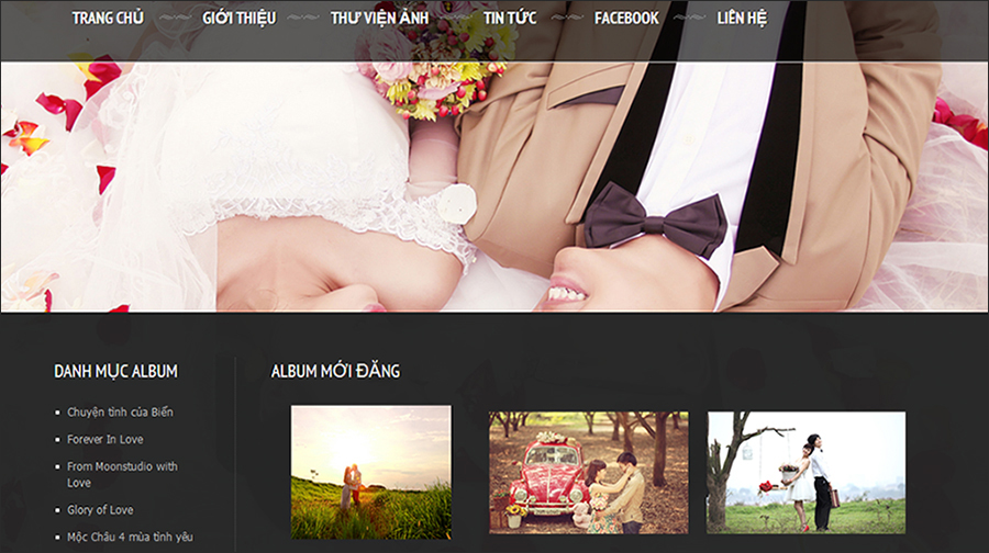 thiết kế web ảnh viện áo cưới