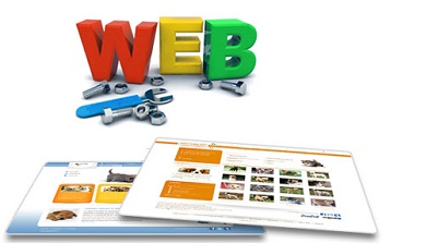 Thiết kế website chuyên nghiệp tại Bình Định